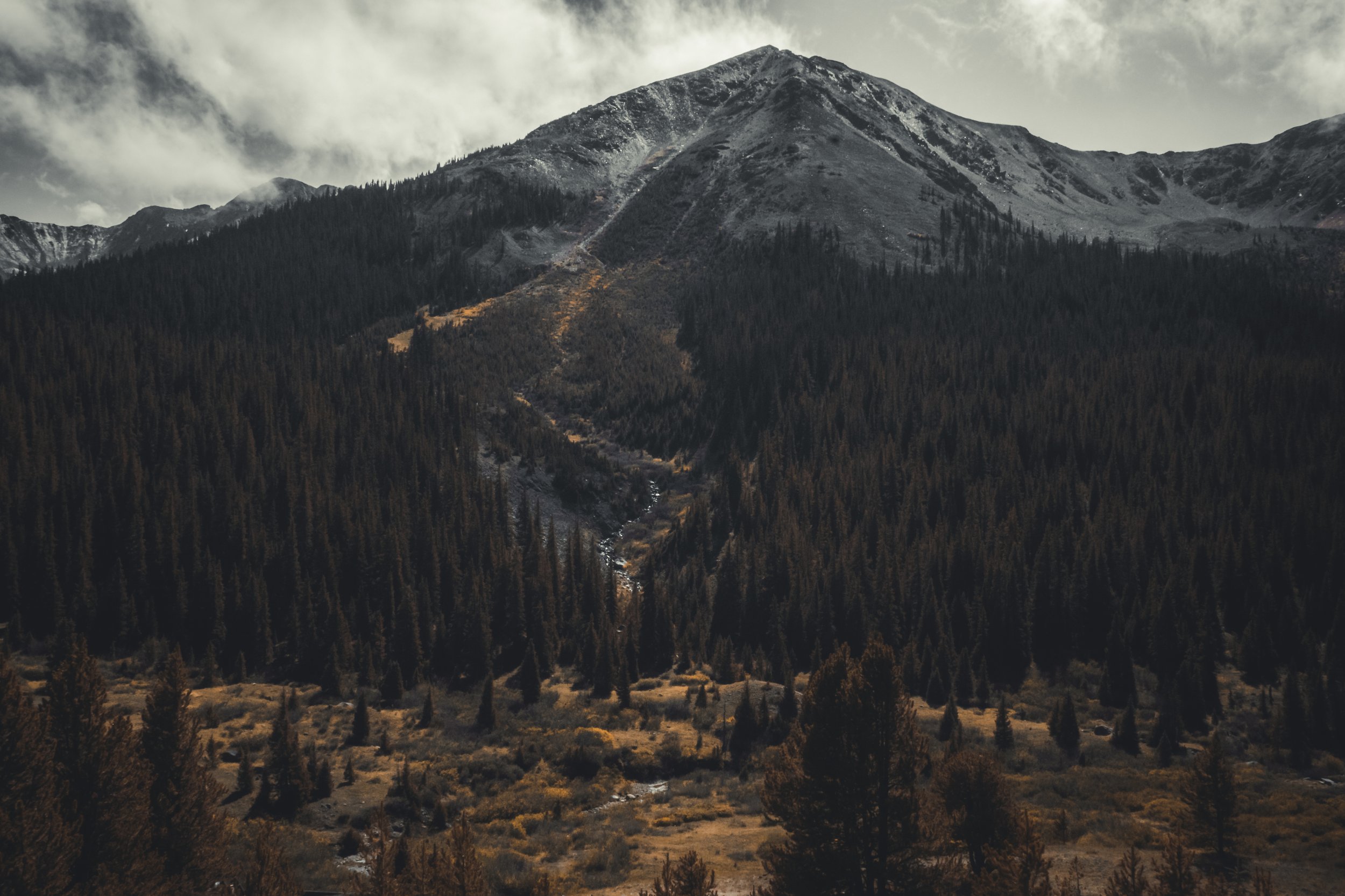 Eyes Fixed On The Mountains. A mountain above a conifer valley under cloud.