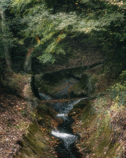 A stream running through a mossed gorge.