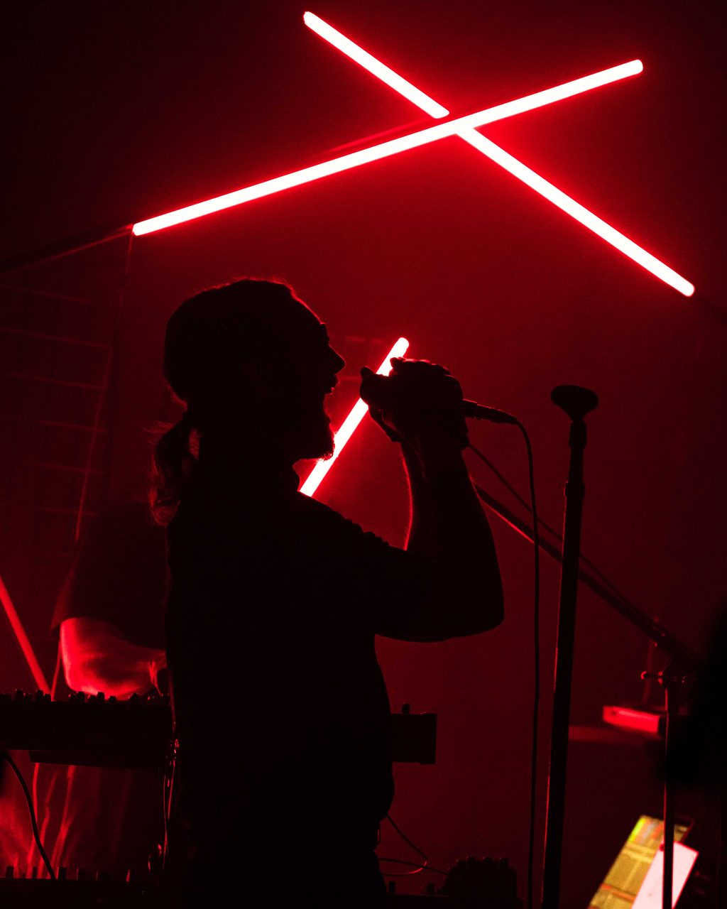 Concert photograph.