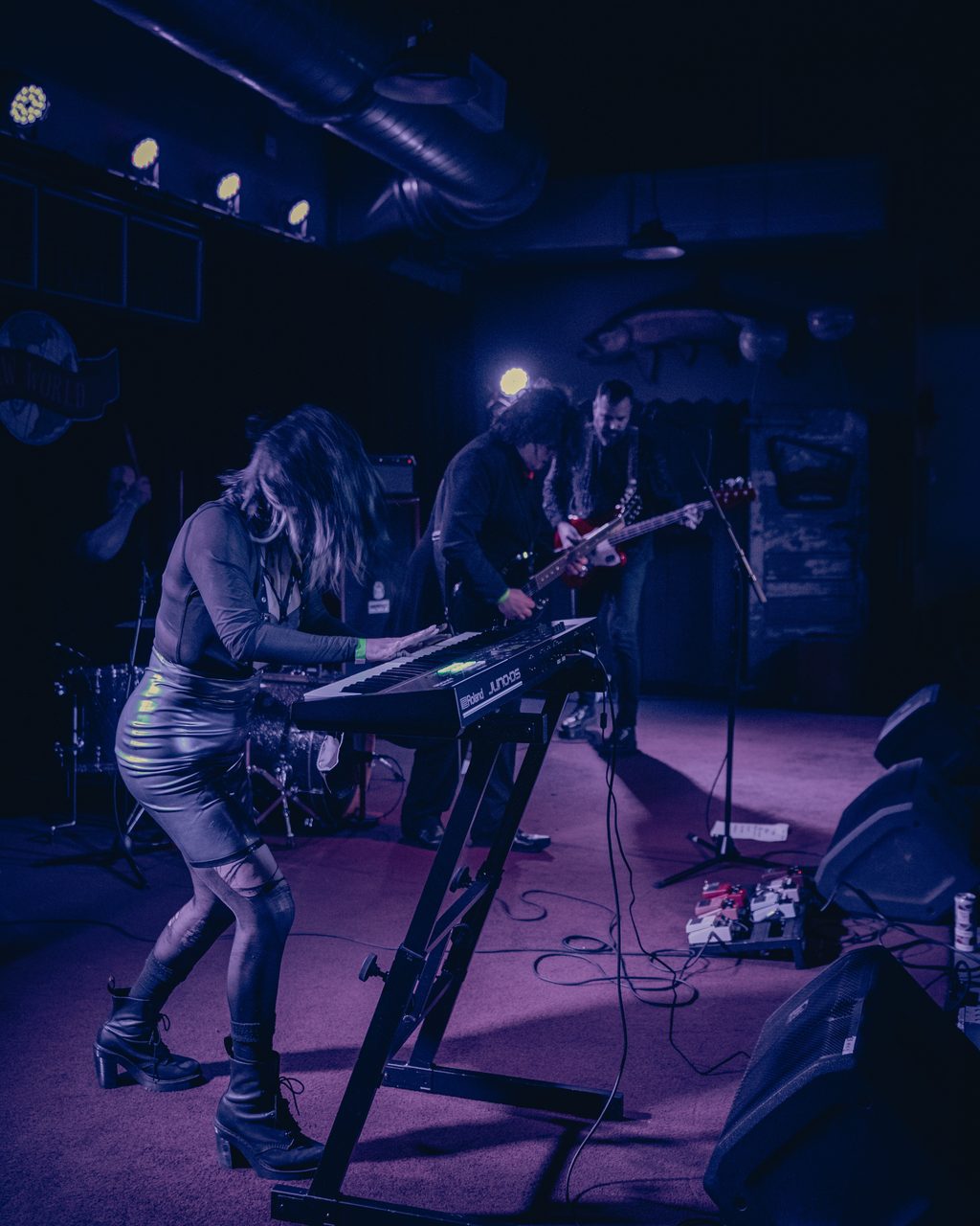 Concert photograph.