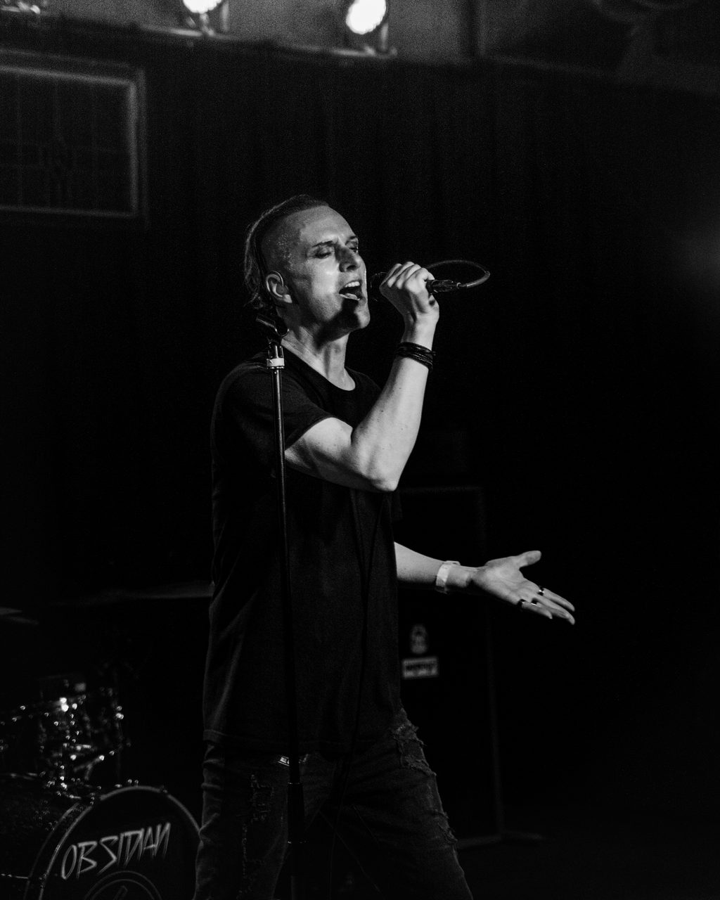 Solar Fake performing live.