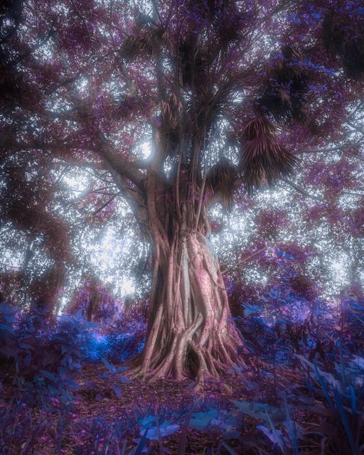 A braided trunk under a pale crown, blue and magenta growth around its base.
