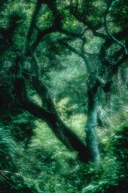 A dark bent limb across dense green grass and palmetto.