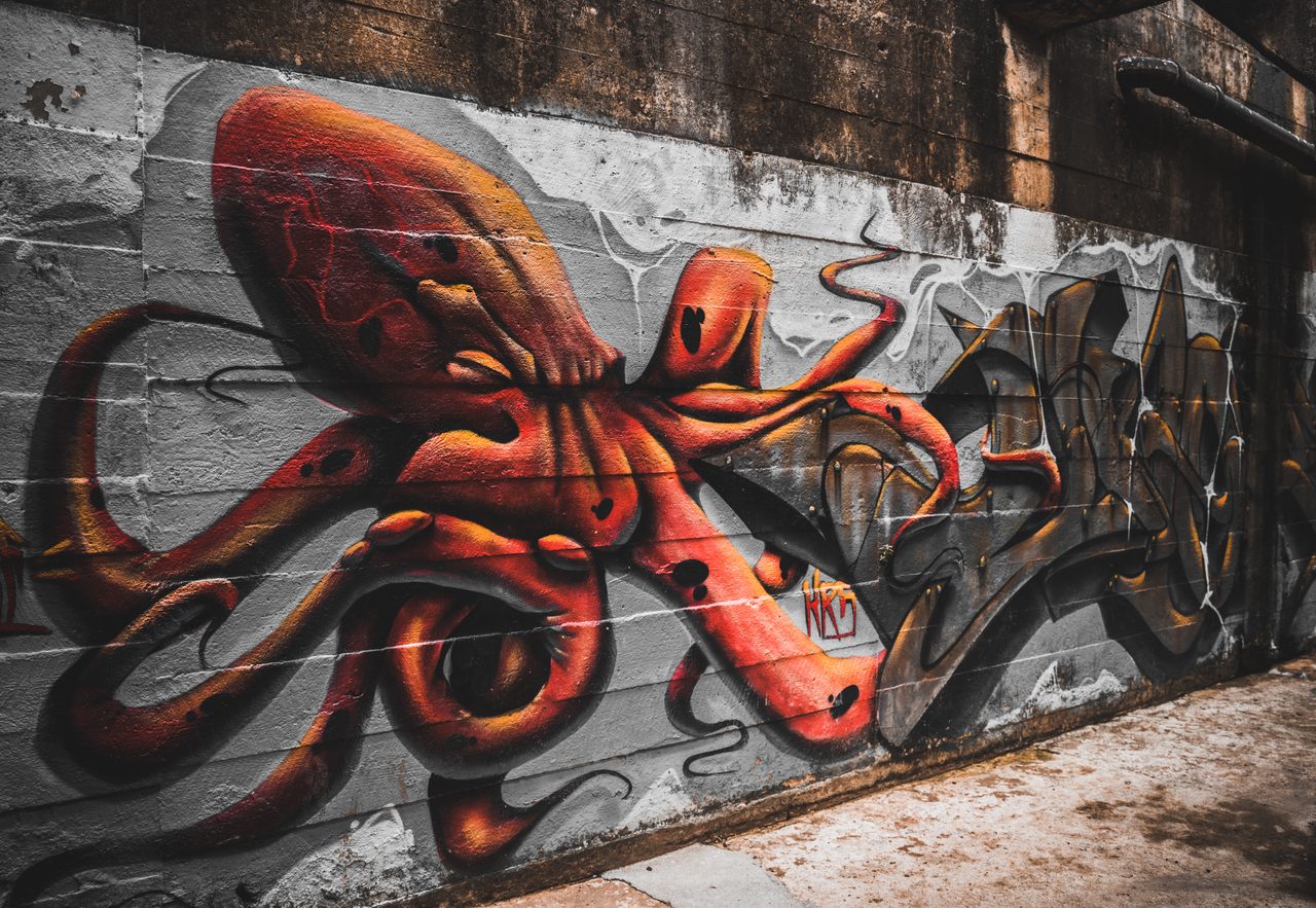 An orange octopus painted across a concrete wall in daylight.