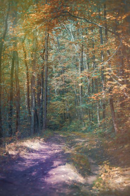 A pale path under a green and gold canopy.