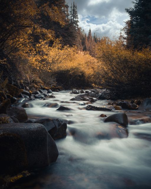 A silky river rushing past golden brush.