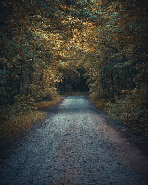 A straight road under an autumn arch.