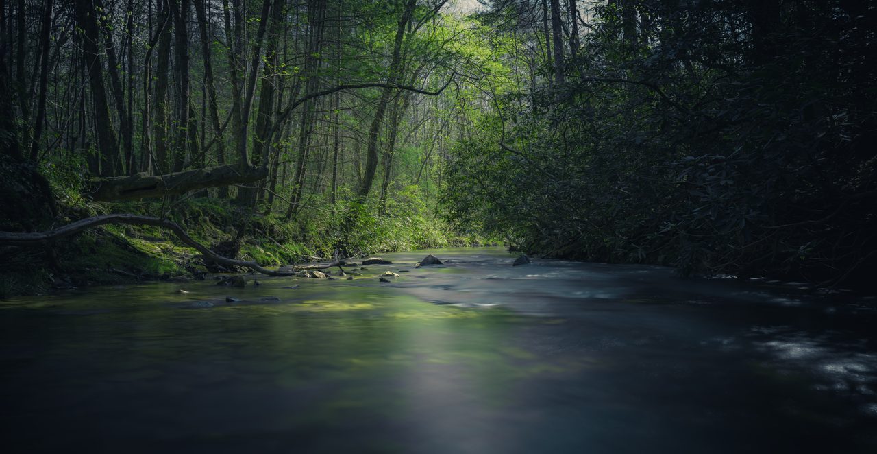 A green river gliding under dark banks.