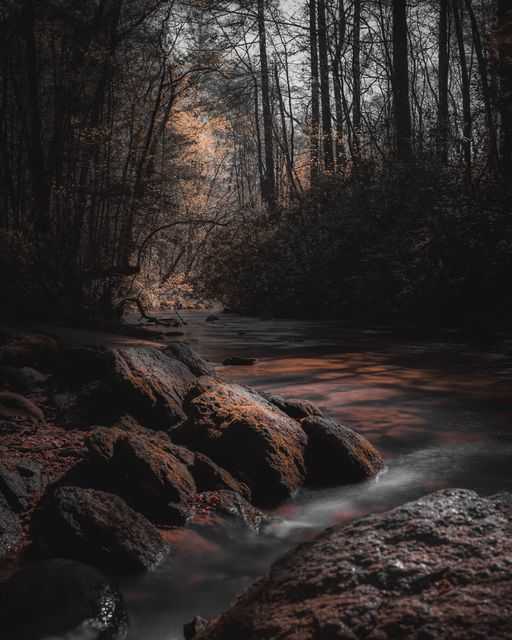 A soft river over stones in grey light.