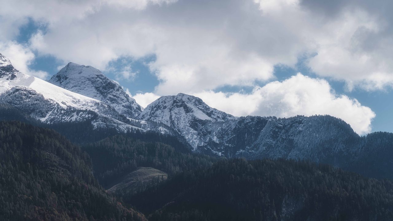 Snow covered peaks standing over dark conifer forest.