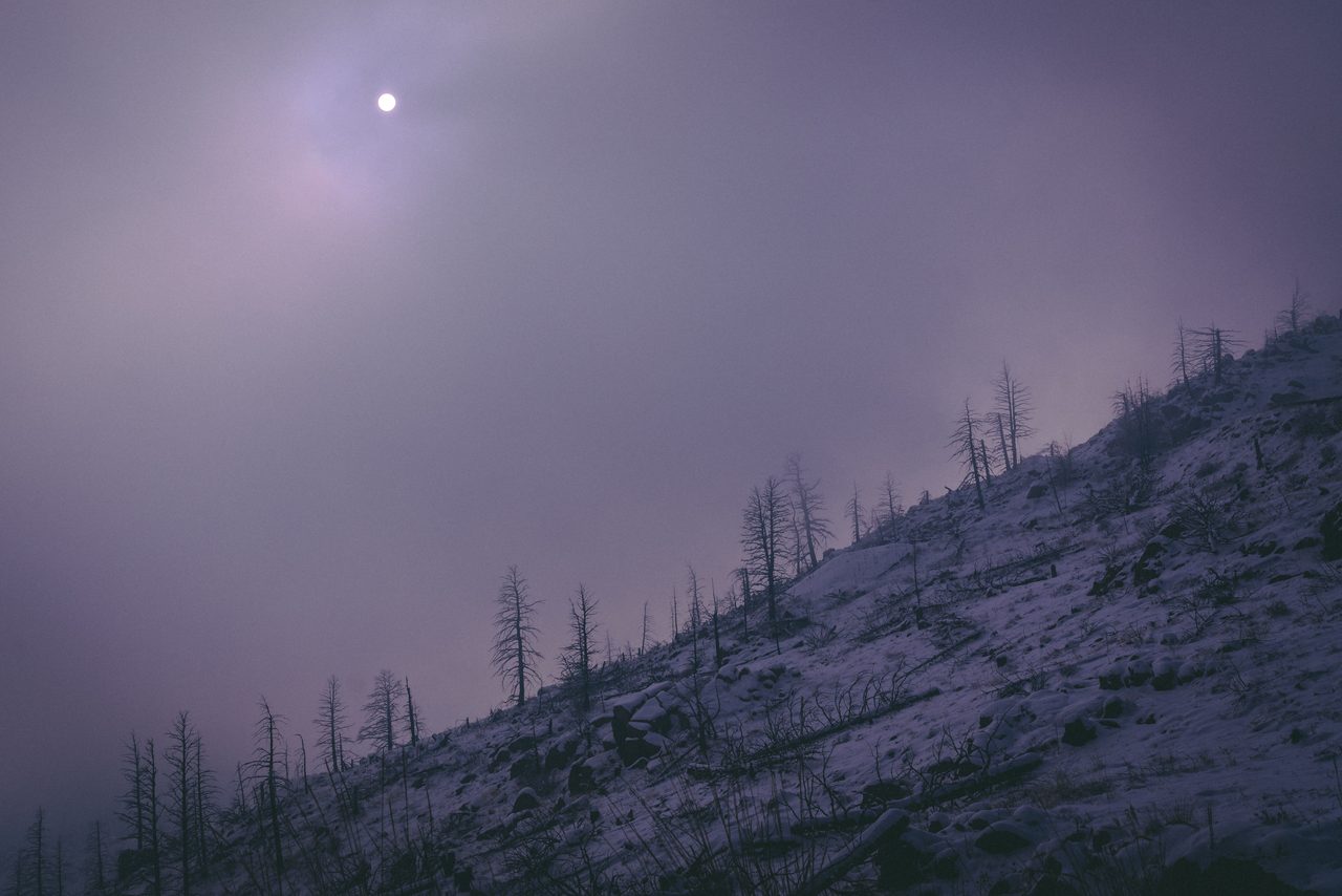 A pale sun over a burned snow slope in violet fog.
