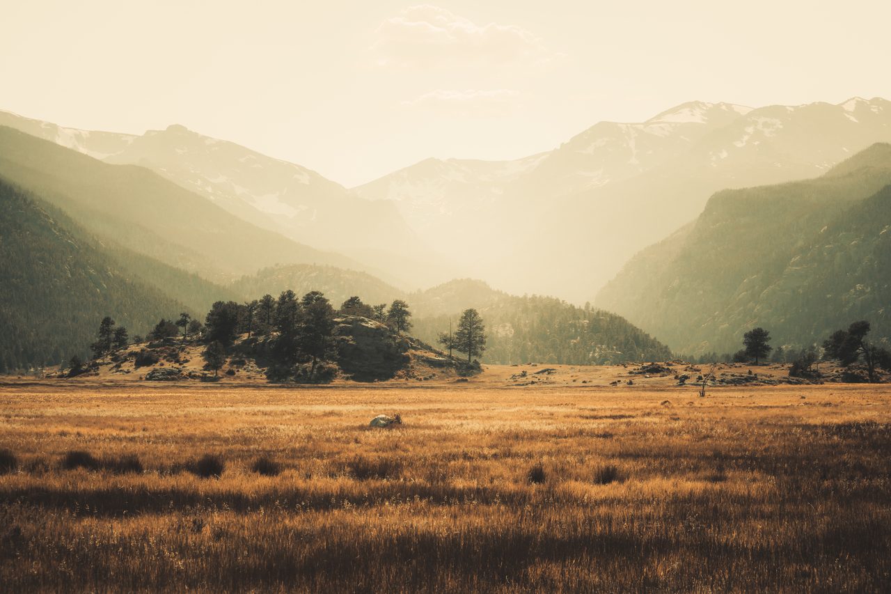 A golden meadow before layered ridges, a treed knoll at its heart.
