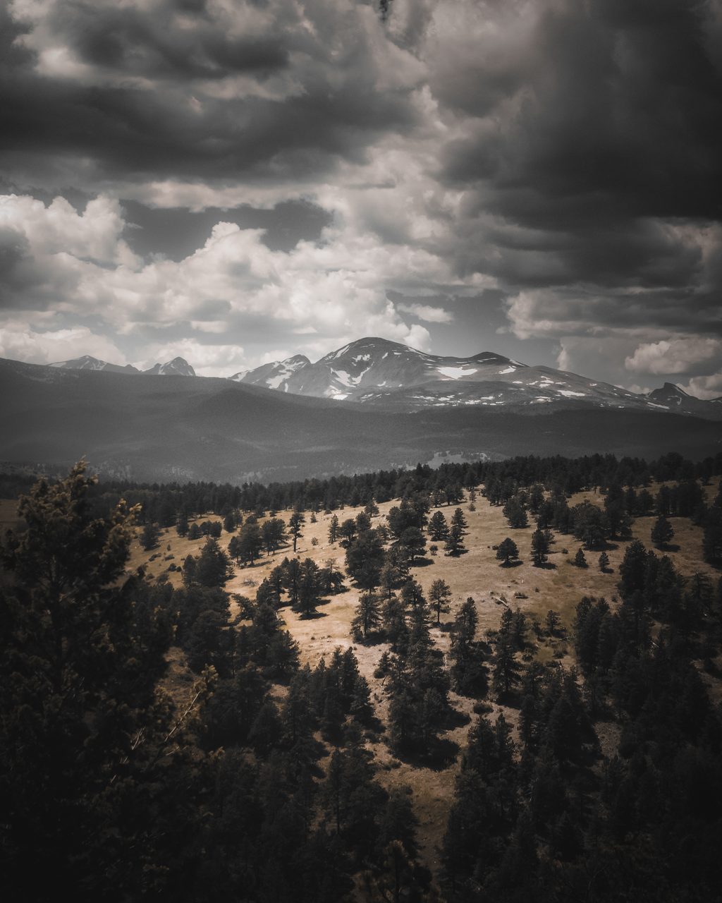 Snow topped peaks under heavy cloud above a conifer forest.