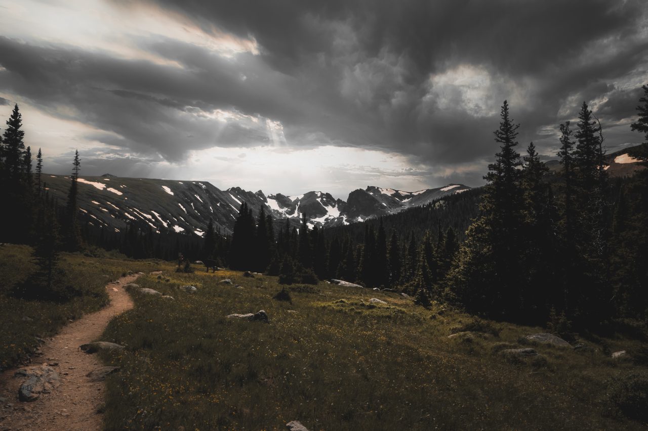 A path through a flowered meadow toward snow patched peaks.