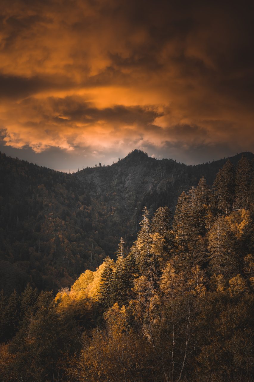 Fire colored cloud over a dark ridge, one stand of trees catching the last light.