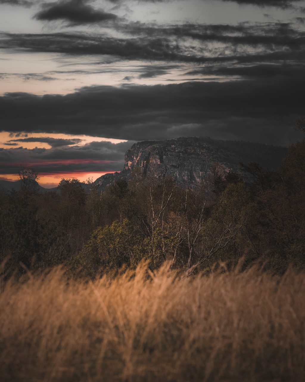 A rock dome at dusk, ember light at the horizon, grass in the wind.