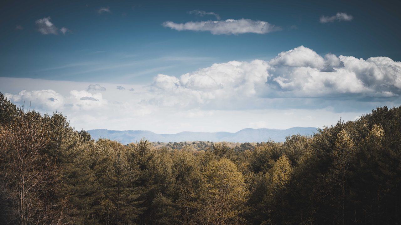 Blue ridges beyond spring treetops under white cloud.
