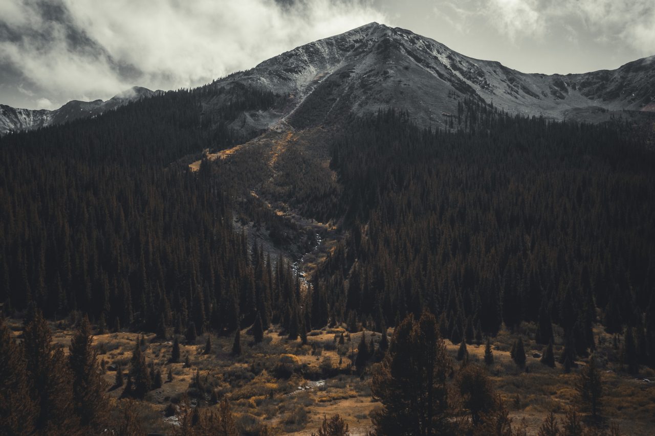 A snow dusted peak over dense conifer, a chute cutting its face.