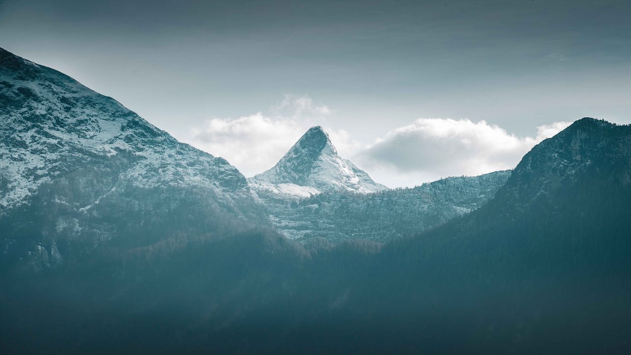 A snow covered peak standing over dark conifer ridges.