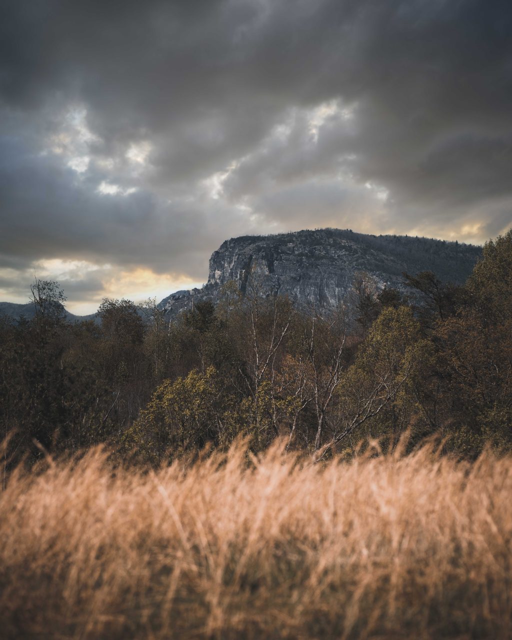 Tall grass under a cliff face and a breaking storm.