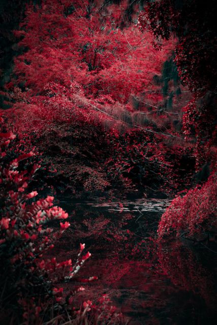 Red foliage banked over a dark pond.