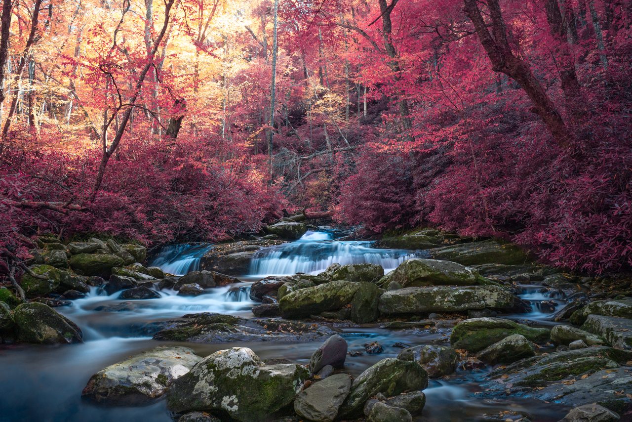 Falls stepping through mossed boulders under crimson trees.