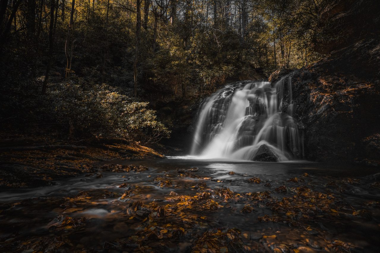 A waterfall pouring into a dark pool, leaves on the water.