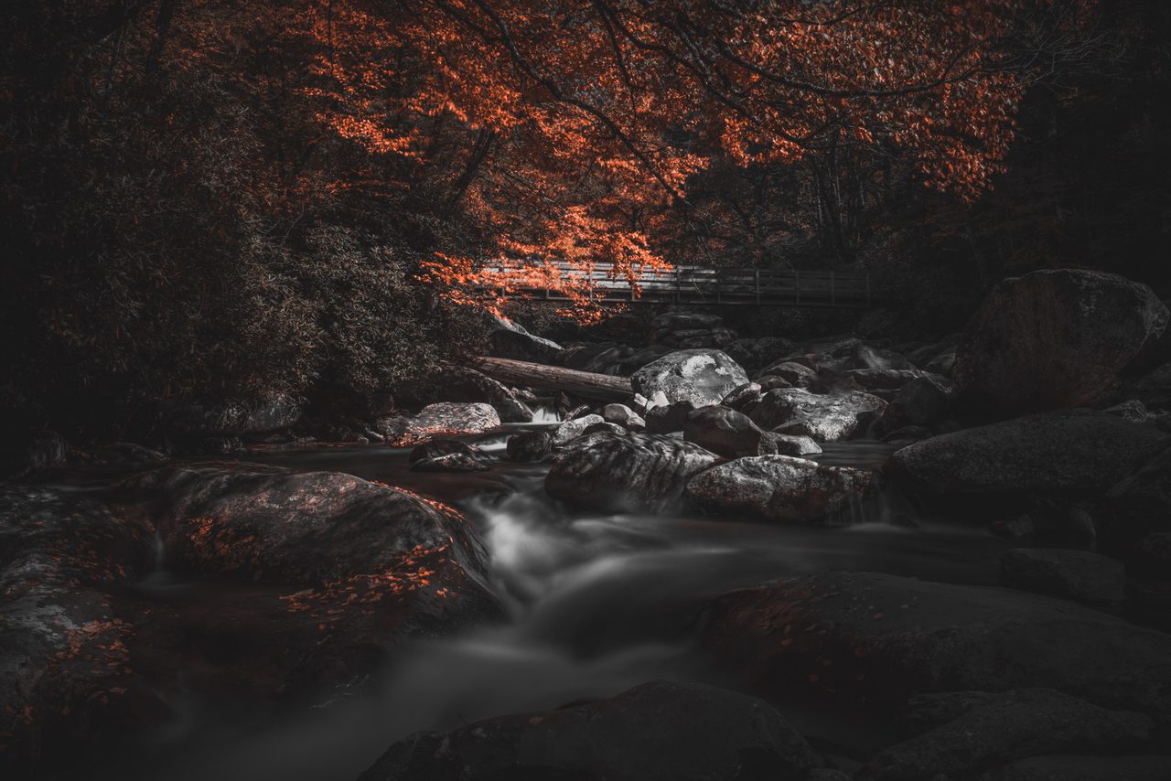 A footbridge over dark water, one tree burning red.